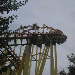 Meet your Posher, Ricky